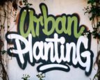 Urban Planting